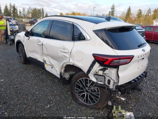 2024 FORD ESCAPE 1FMCU0E13RUB26051 Photo 2