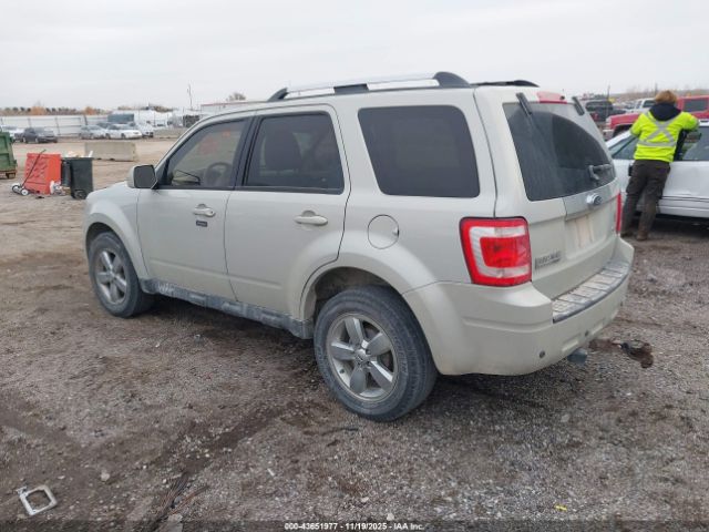 2009 FORD ESCAPE 1FMCU94G29KB47396 Photo 2