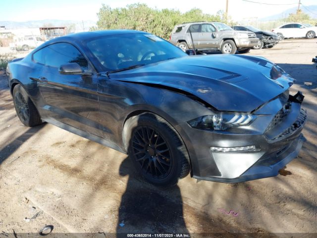 2019 FORD MUSTANG 1FA6P8TH3K5203479