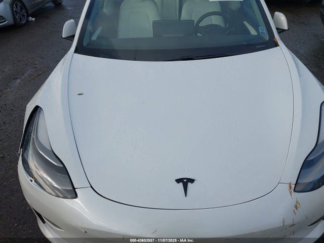 2021 TESLA MODEL 3 5YJ3E1EA9MF064583 Photo 9