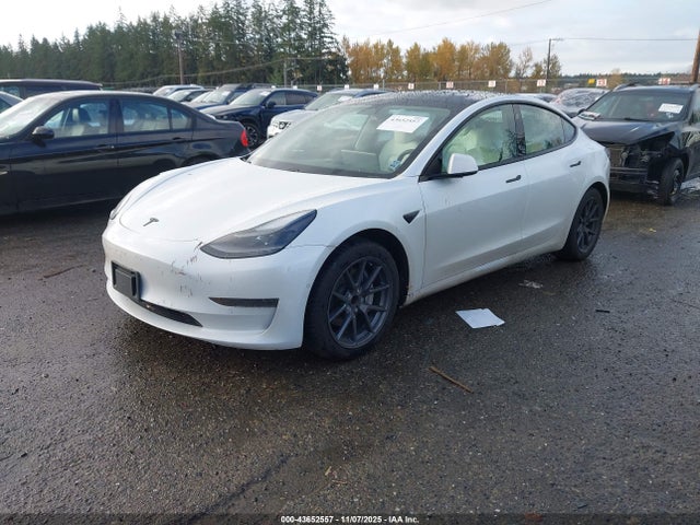 2021 TESLA MODEL 3 5YJ3E1EA9MF064583 Photo 1