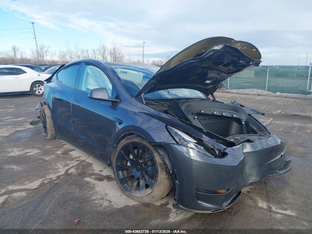 2023 TESLA MODEL Y 7SAYGDEE9PF847530 Photo 0