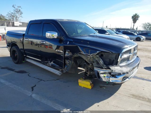 2009 DODGE RAM 1500 1D3HB13T29S722183