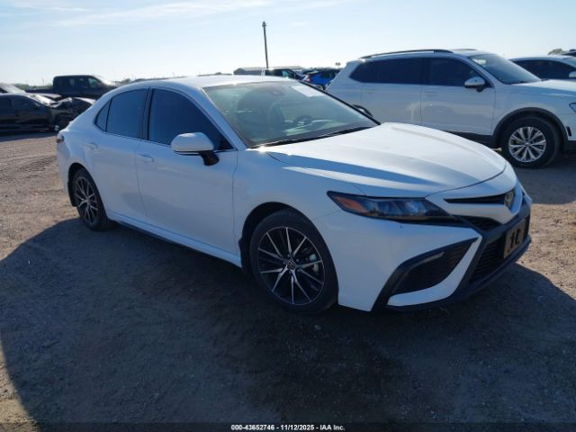 2024 TOYOTA CAMRY 4T1G11AK6RU244433