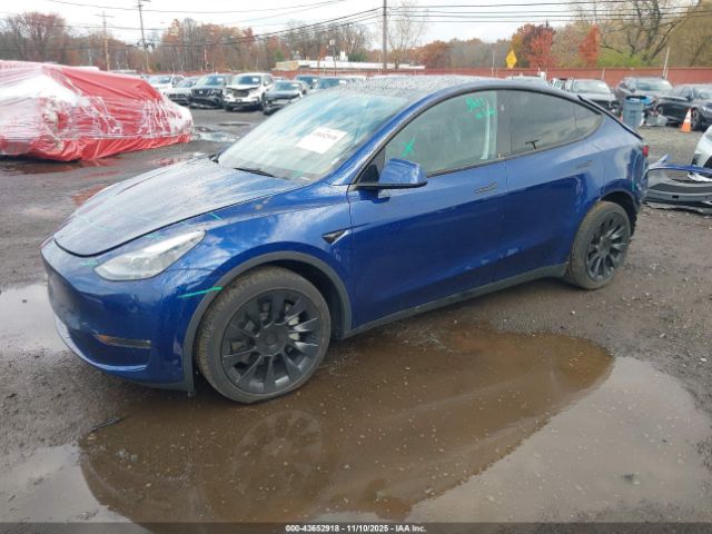 2024 TESLA MODEL Y 7SAYGDEE8RA217935 Photo 1