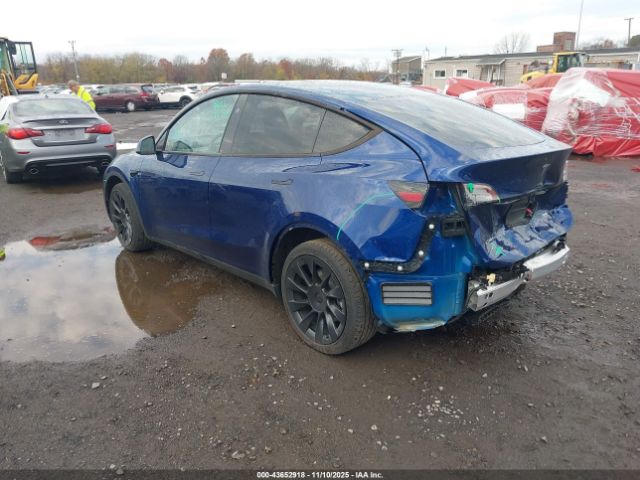 2024 TESLA MODEL Y 7SAYGDEE8RA217935 Photo 2