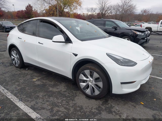 2024 TESLA MODEL Y 7SAYGDEEXRA278932 Photo 0