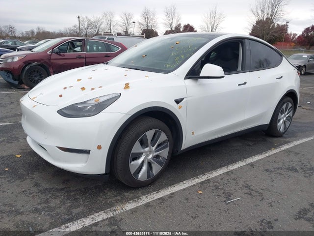 2024 TESLA MODEL Y 7SAYGDEEXRA278932 Photo 1
