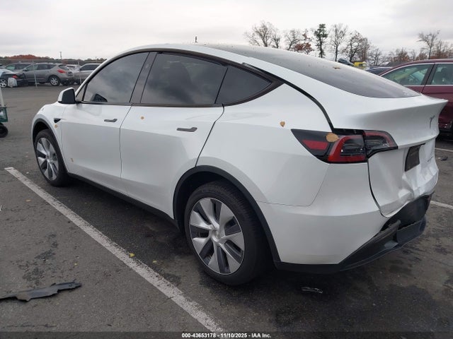 2024 TESLA MODEL Y 7SAYGDEEXRA278932 Photo 2