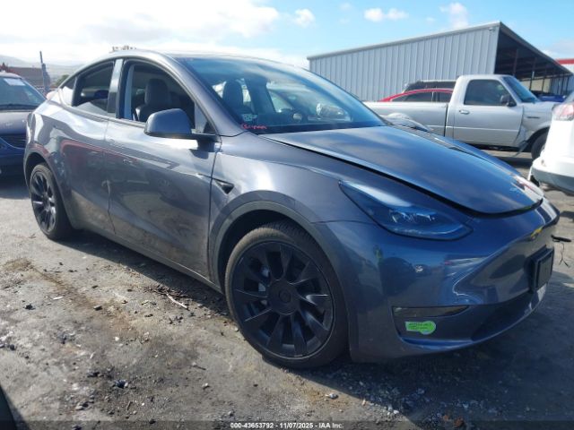 2023 TESLA MODEL Y 7SAYGDEE2PF642955 Photo 0