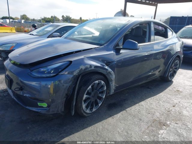 2023 TESLA MODEL Y 7SAYGDEE2PF642955 Photo 1