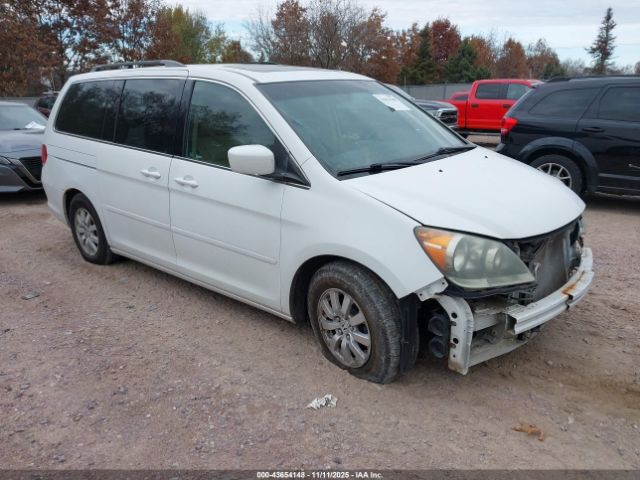 2010 HONDA ODYSSEY 5FNRL3H66AB051238
