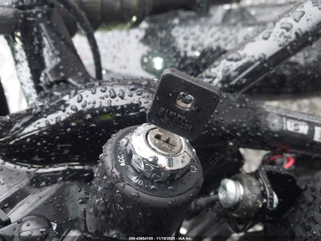 2021 HARLEY-DAVIDSON XL1200 1HD1LP317MB407542 Photo 10