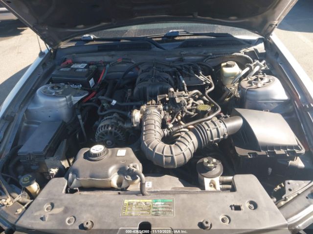 2006 FORD MUSTANG 1ZVFT80N565182752 Photo 9