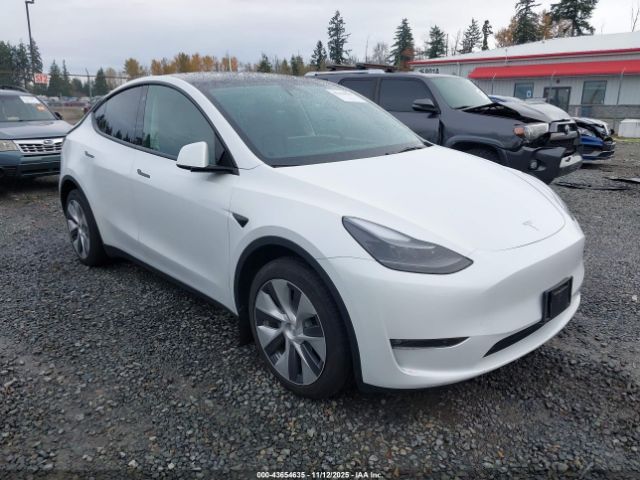 2023 TESLA MODEL Y 7SAYGDEE0PF754492 Photo 0