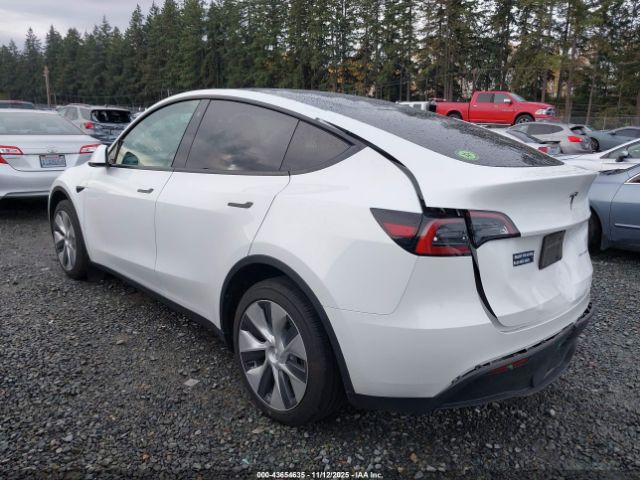 2023 TESLA MODEL Y 7SAYGDEE0PF754492 Photo 2