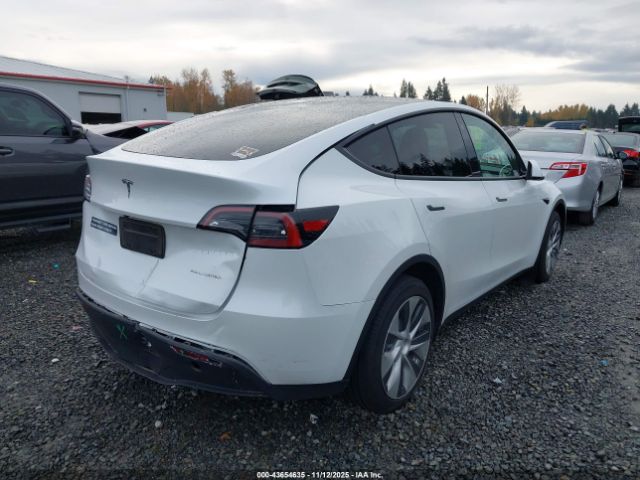 2023 TESLA MODEL Y 7SAYGDEE0PF754492 Photo 3