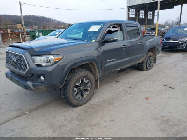 2019 TOYOTA TACOMA 3TMCZ5AN9KM251299 Photo 1