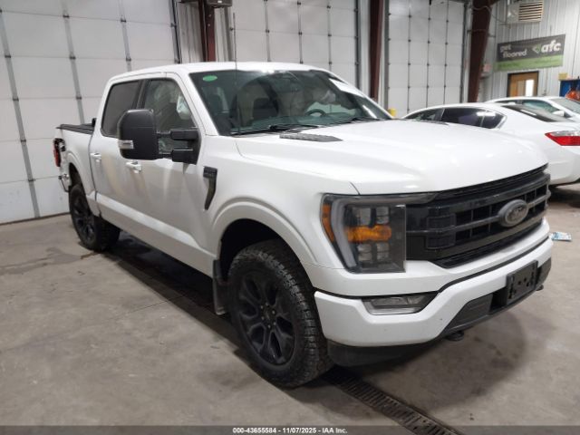 2023 FORD F-150 1FTEW1EP0PFC63998