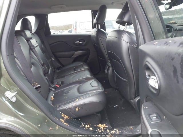 Jeep Cherokee Limited 4x4 2019 1C4PJMDN8KD174371 Image 8