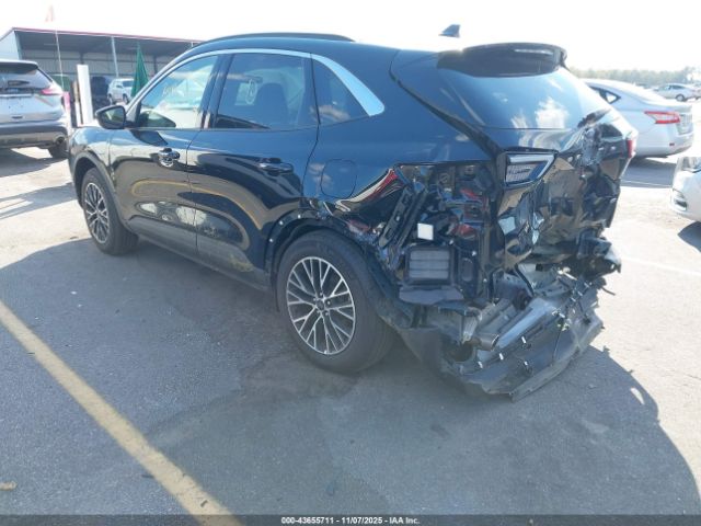 2023 FORD ESCAPE 1FMCU0E19PUA35346 Photo 2