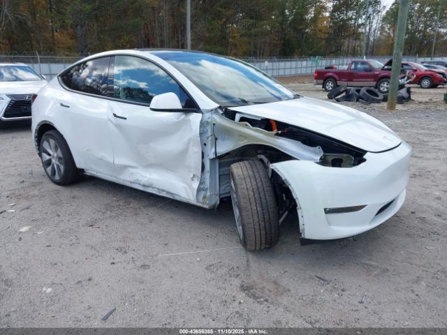 2023 TESLA MODEL Y 7SAYGDEE0PF768148