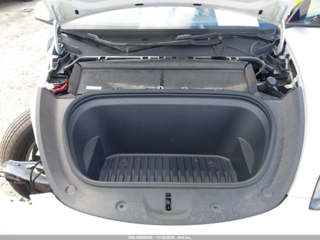 2023 TESLA MODEL Y 7SAYGDEE0PF768148 Photo 9