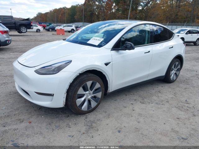 2023 TESLA MODEL Y 7SAYGDEE0PF768148 Photo 1