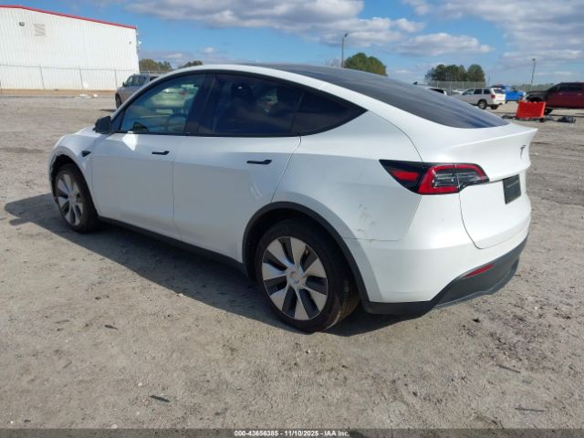 2023 TESLA MODEL Y 7SAYGDEE0PF768148 Photo 2