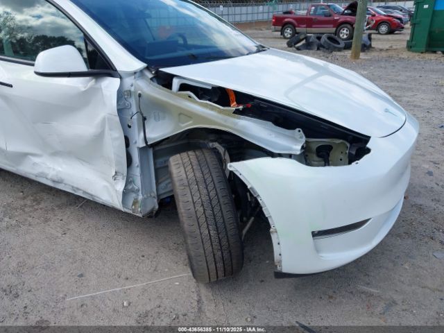 2023 TESLA MODEL Y 7SAYGDEE0PF768148 Photo 5