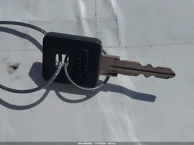 2021 HARLEY-DAVIDSON XL1200 1HD1LP310MB400500 Photo 10