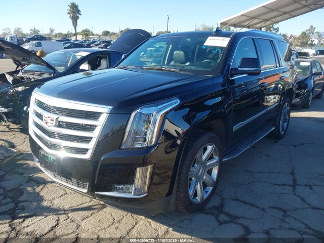 2020 CADILLAC ESCALADE 1GYS4BKJ8LR135459 Photo 1