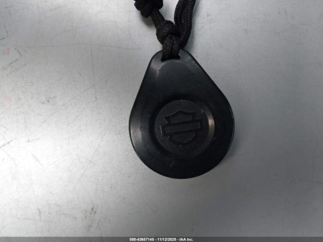 2021 HARLEY-DAVIDSON FXBBS 1HD1YYK28MB042936 Photo 10