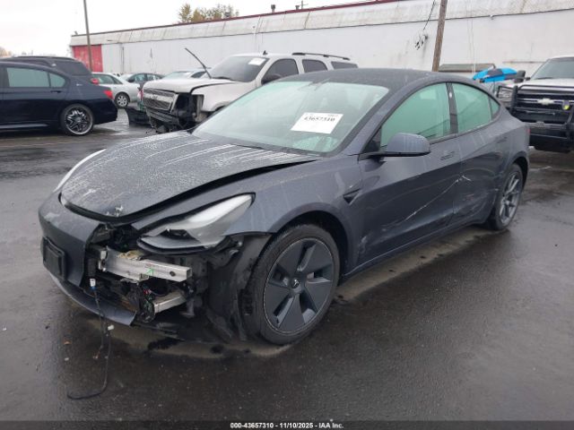 2023 TESLA MODEL 3 5YJ3E1EA9PF653430 Photo 1
