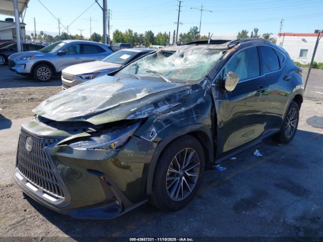 2024 LEXUS NX 350 2T2GGCEZ6RC053285 Photo 1