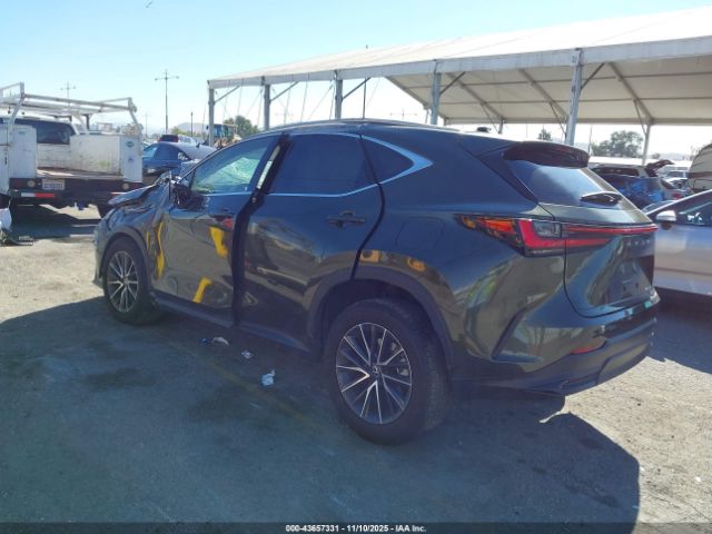 2024 LEXUS NX 350 2T2GGCEZ6RC053285 Photo 2
