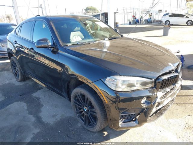 2019 BMW X6 5UXKU0C57K0S97354