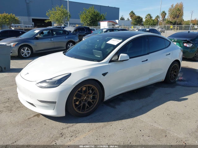 2021 TESLA MODEL 3 5YJ3E1EB7MF048424 Photo 1