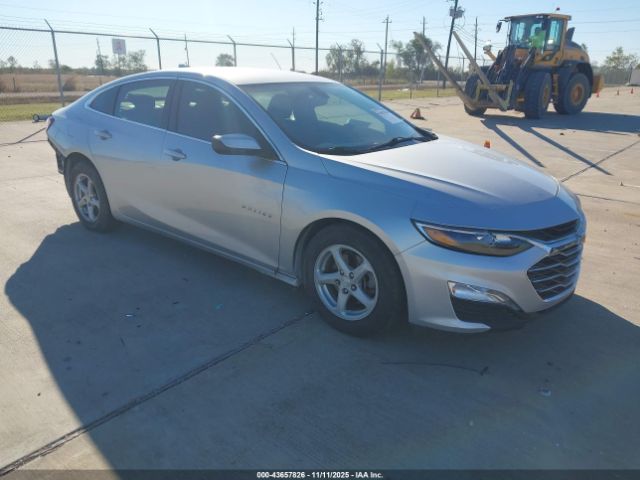 2019 CHEVROLET MALIBU 1G1ZD5STXKF168138