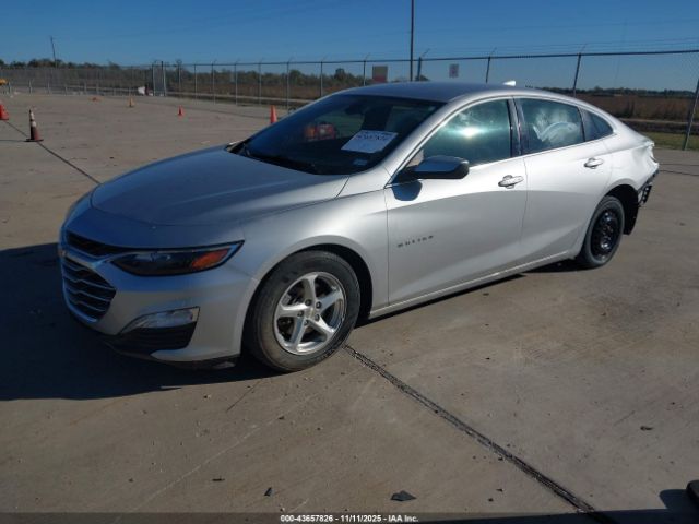 2019 CHEVROLET MALIBU 1G1ZD5STXKF168138 Photo 1
