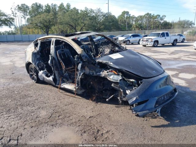 2025 TESLA MODEL Y 7SAYGDED2SF262756 Photo 0