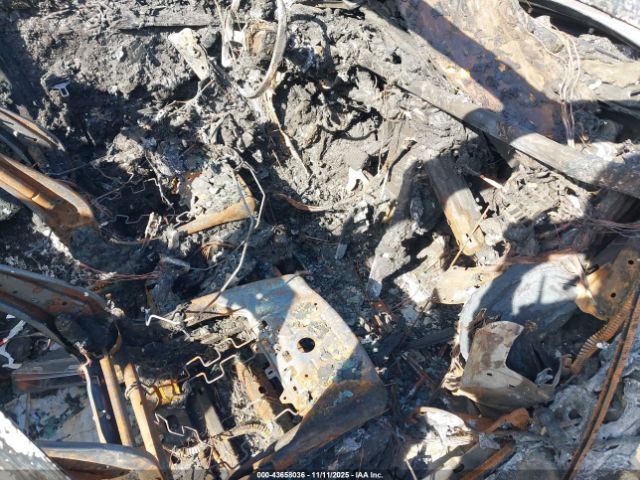 2025 TESLA MODEL Y 7SAYGDED2SF262756 Photo 4