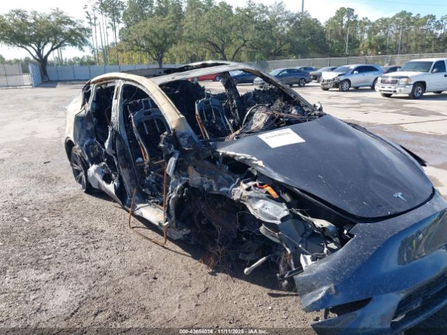 2025 TESLA MODEL Y 7SAYGDED2SF262756 Photo 5