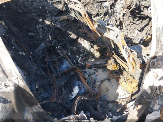 2025 TESLA MODEL Y 7SAYGDED2SF262756 Photo 7