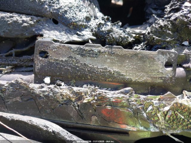 2025 TESLA MODEL Y 7SAYGDED2SF262756 Photo 8