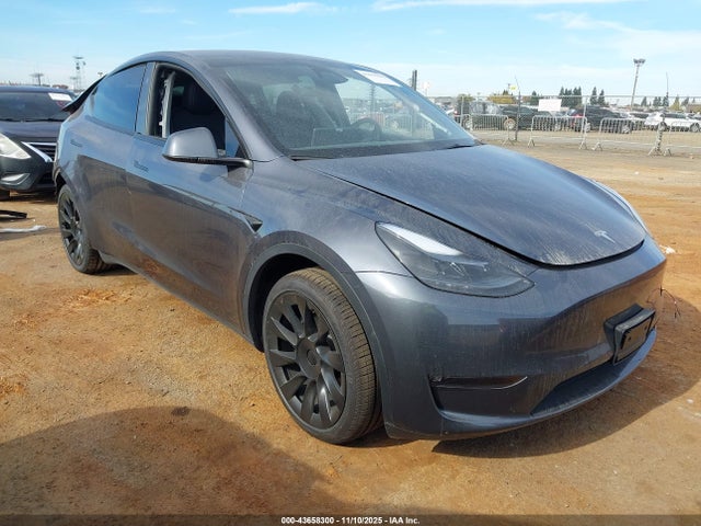 2023 TESLA MODEL Y 7SAYGAEE6PF815245 Photo 0