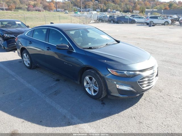 2019 CHEVROLET MALIBU 1G1ZC5ST6KF182184