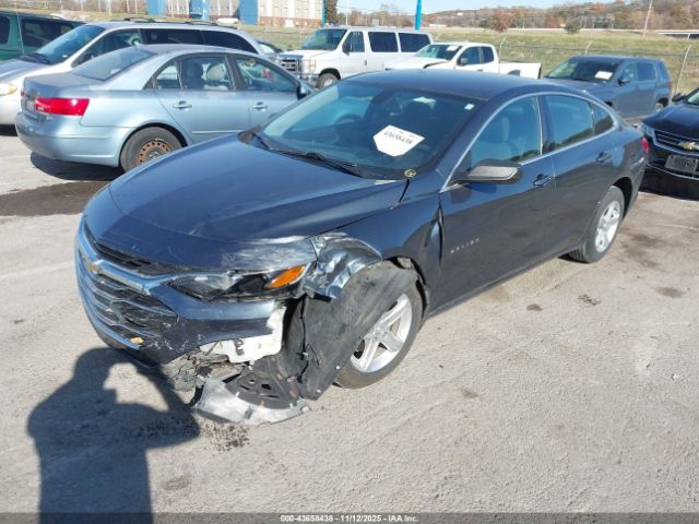 2019 CHEVROLET MALIBU 1G1ZC5ST6KF182184 Photo 1