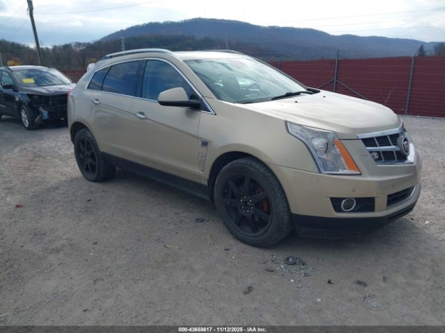 2010 CADILLAC SRX 3GYFNEEY2AS577415