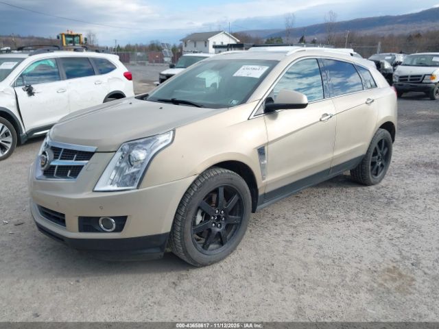 2010 CADILLAC SRX 3GYFNEEY2AS577415 Photo 1